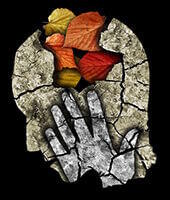 demence Vitamines B demence Vitamines B