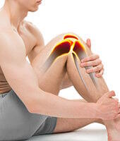 articulations articulations