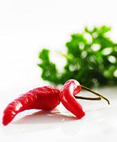 Capsicum annuum Capsicum annuum