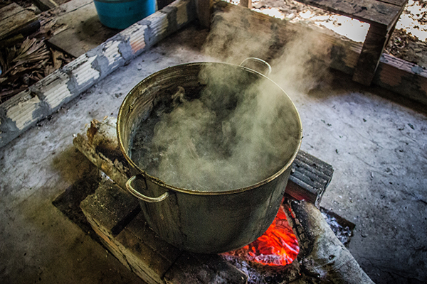 Ayahuasca, le breuvage chamanique Le breuvage chamanique hallucinatoire